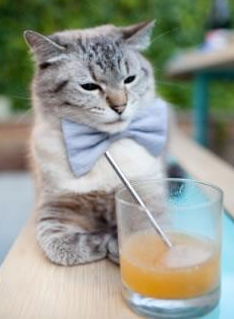 黑马奔腾！火箭摧枯拉朽完胜绿军，新星闪耀如德罗赞附体惊艳全场