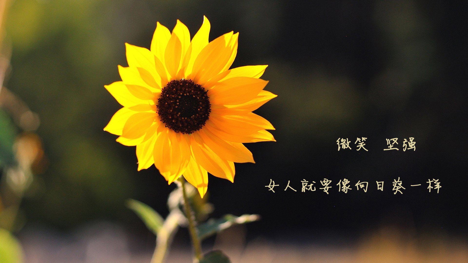 绝境骑士，勒克莱尔如何以不可能的超车导演红牛内战的终极逆转