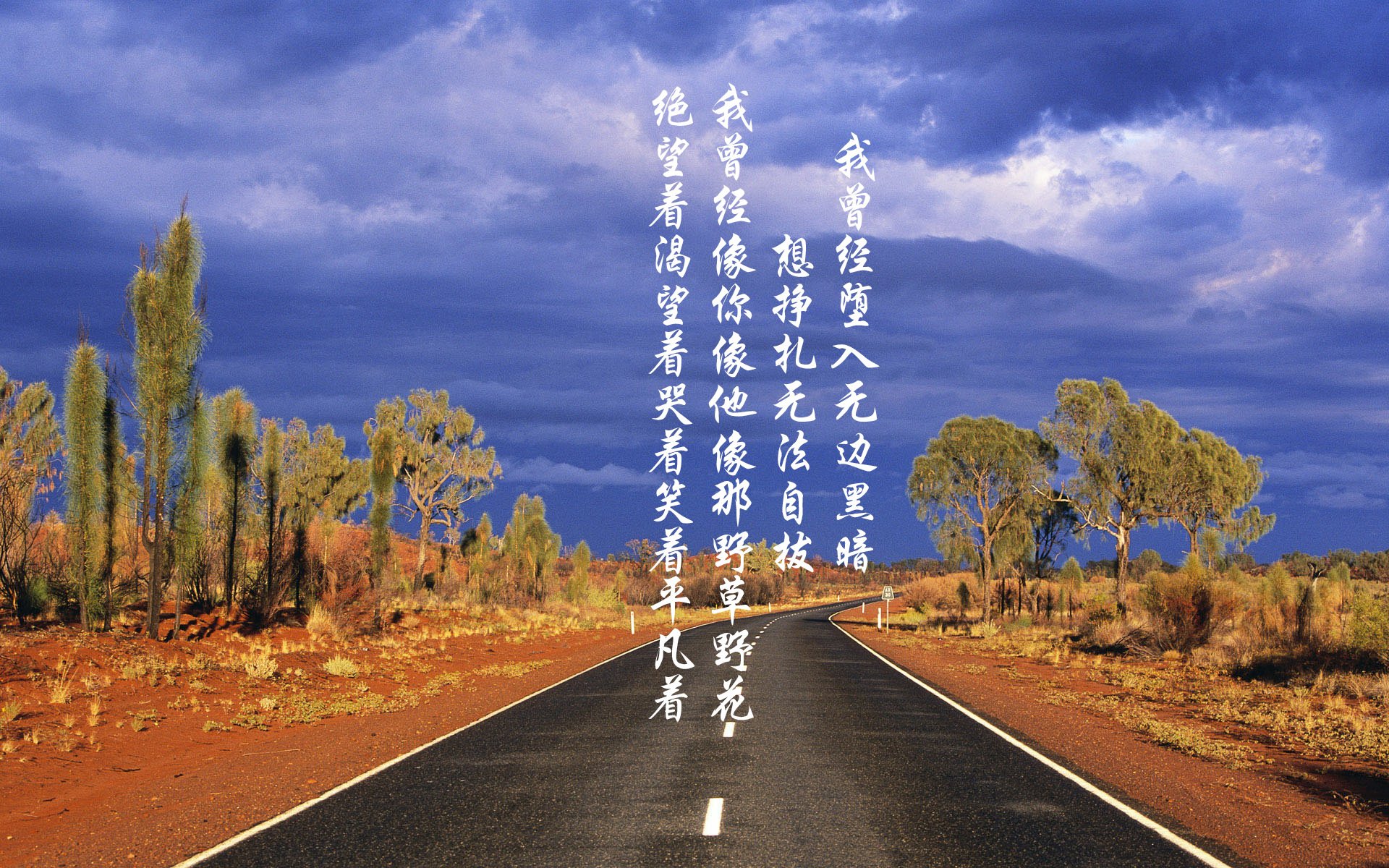 爱游戏大厅-新秀的火焰吞噬老牌车队，皮亚斯特里一停战术上演终极逆袭，红牛二队0.1秒险胜