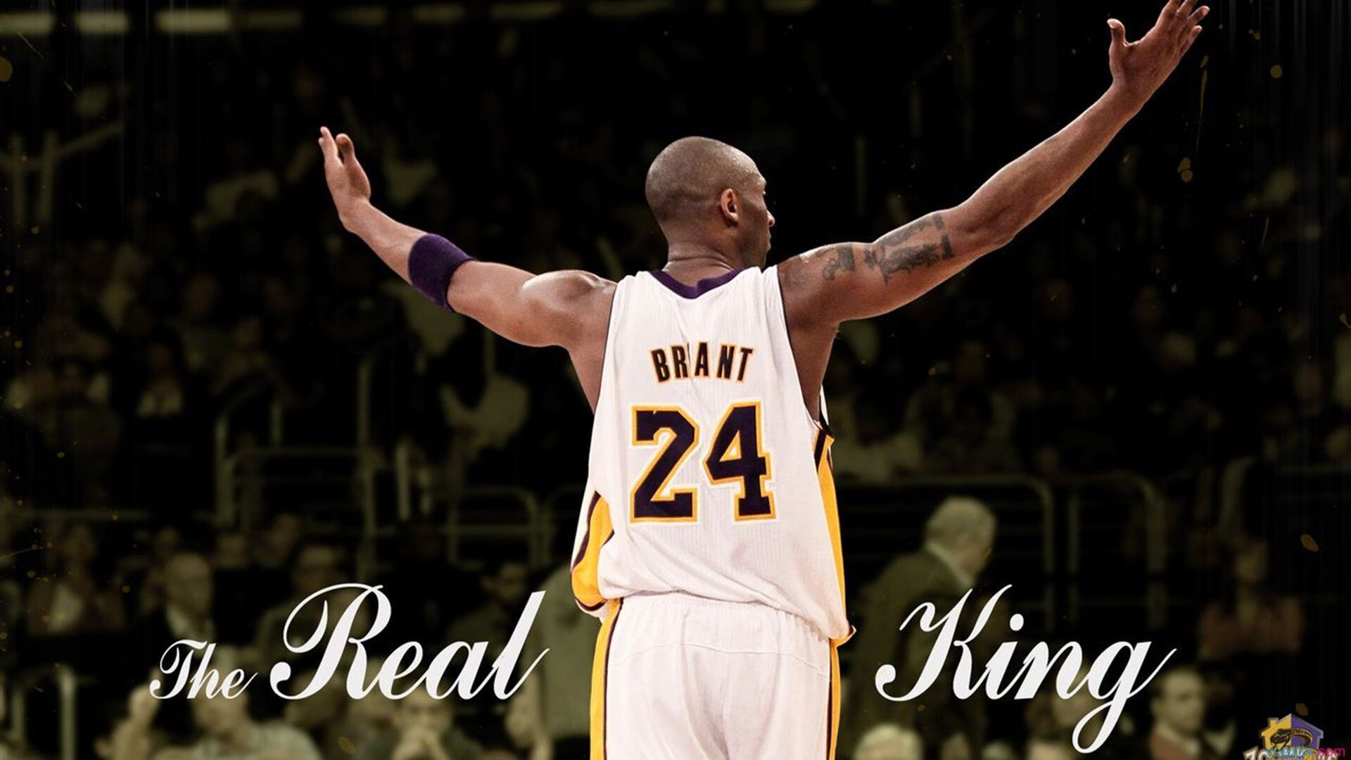 维也纳之剑收割仙人掌，奥利维耶在排名悬崖边接管战争