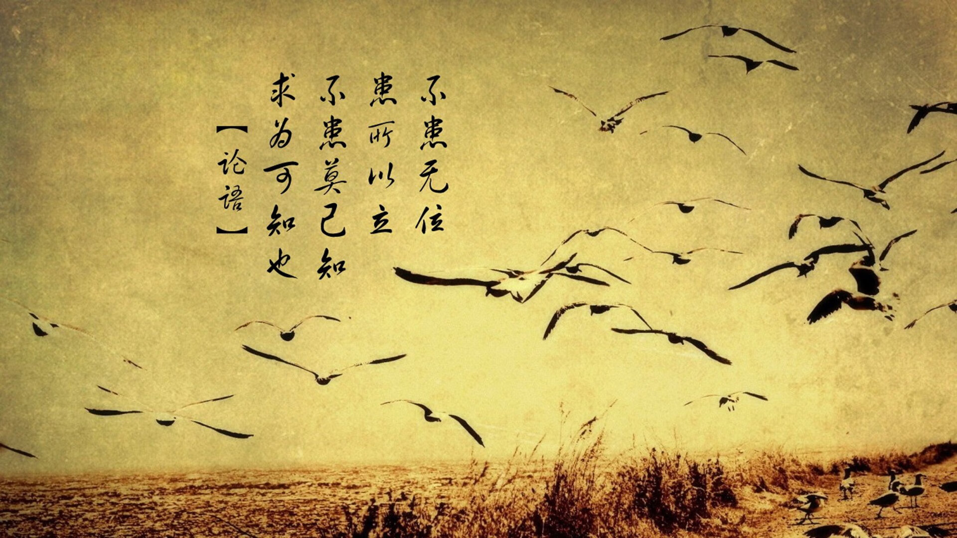 爱游戏大厅-手术刀与城墙，卡瓦哈尔如何用一场比赛证明自己的唯一性