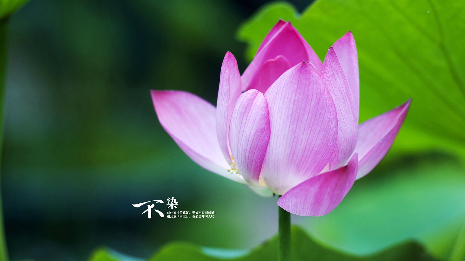 爱游戏官网-高原魔法，卡瓦哈尔一锤定音，玻利维亚血拼马赛缔造逆袭神话