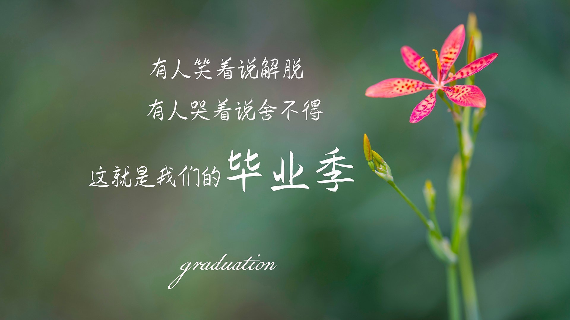 一剑封喉，特奥的唯一性时刻，巴黎如何从喀麦隆手中盗走胜利