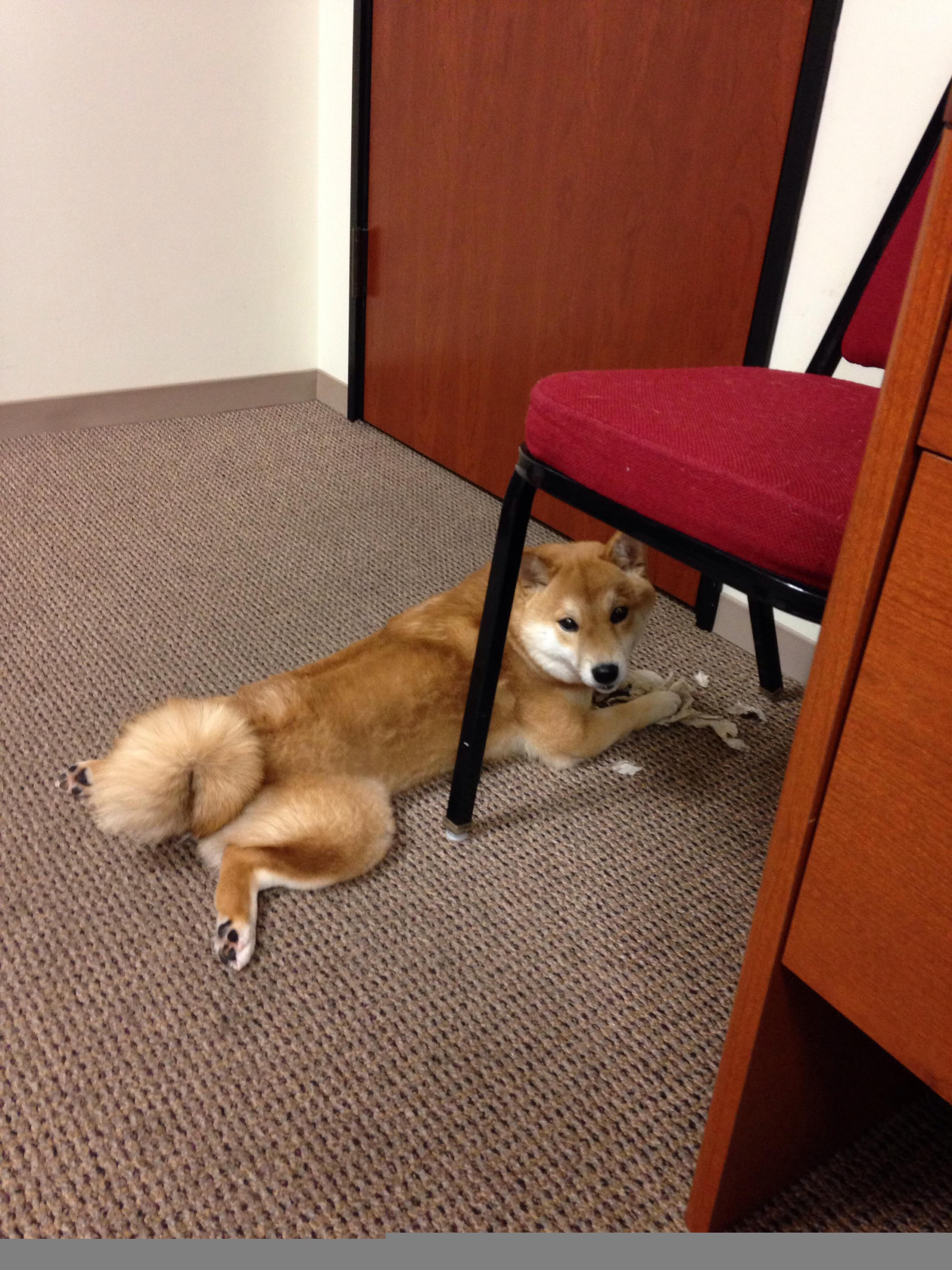 冰火淬炼终成钢，末节惊雷定乾坤