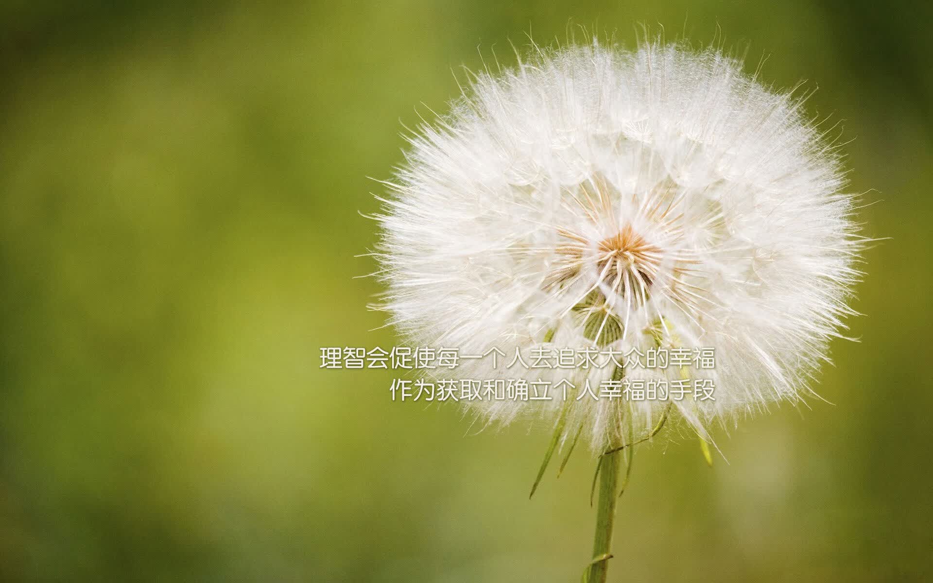 爱游戏官方入口-致命反击，姆巴佩一己之力改写非洲双雄生死战