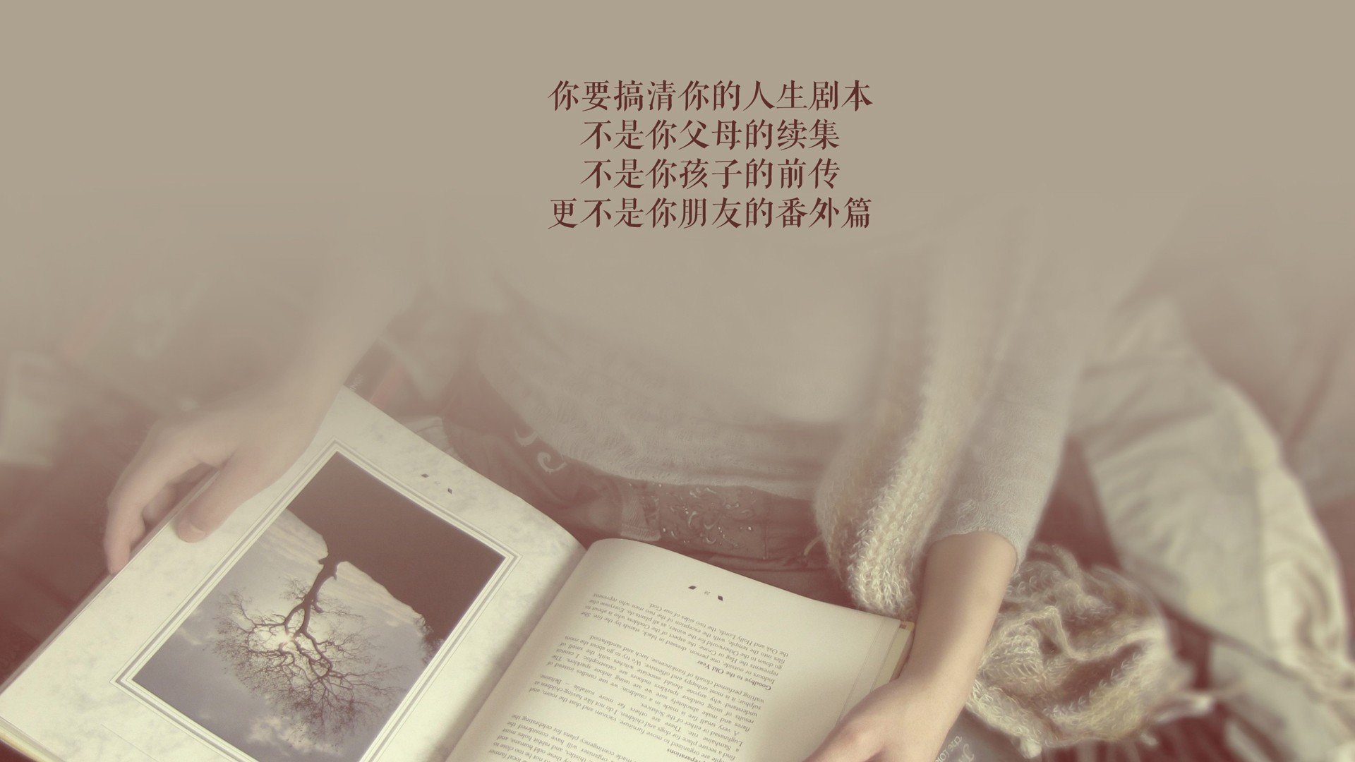 绝杀之夜,塔雷米火线封神,葡萄牙在2026世界杯D组险胜罗马尼亚的唯一剧本