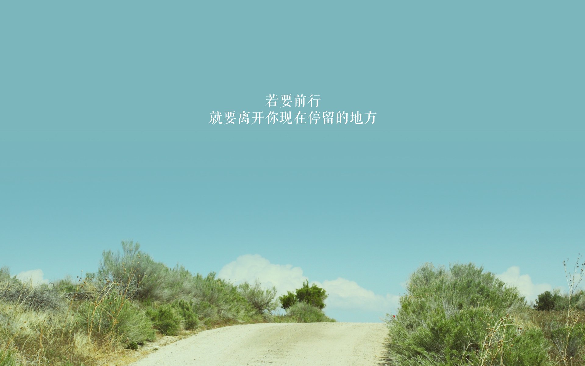 绝境之光,当突尼斯的黑马蹄踏碎枫叶,孙兴慜用默契写下世界杯的另类传奇